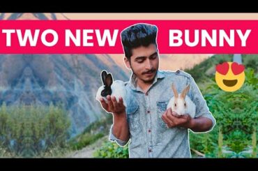 Meet With My New Cute Family Members 2 Cute 🐇 Bunny