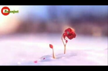 Cute Rabbit Whatsapp Status