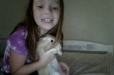 Cute bunny video