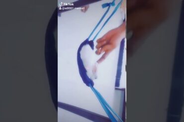 Cute baby rabbit Play