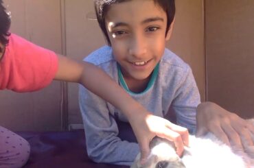 Cute Bunny | Rabbit | Showcasing our pet.. CRIMSON! | Backyard Bunny |
