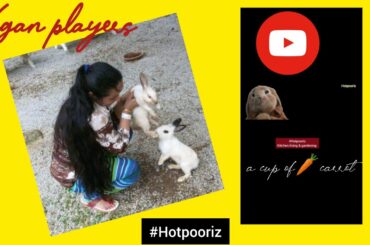 World animal day 2020 || How rabbits eat food || 4th October Animal Day