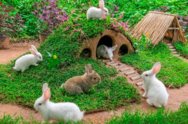 Build Rabbit House As Hobbit House For My Cute Rabbit