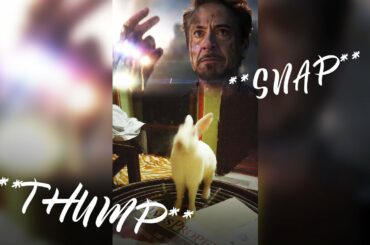 Cute Rabbit Thumping To Snap | #Shorts