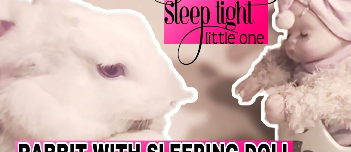 Rabbit with Sleeping doll || Cute Rabbit Video || Cute Compilation 2020
