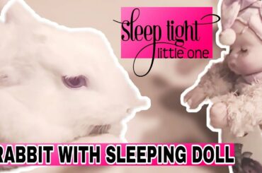 Rabbit with Sleeping doll || Cute Rabbit Video || Cute Compilation 2020