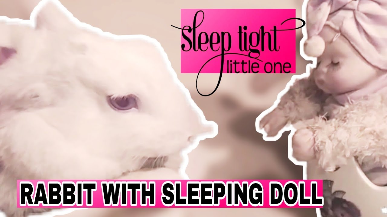 Rabbit with Sleeping doll || Cute Rabbit Video || Cute Compilation 2020