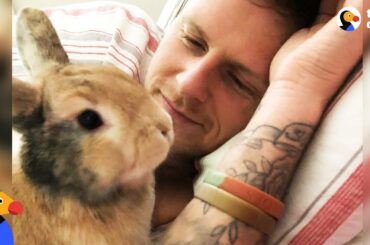 Amazing Rabbit Changes Man's Mind About Animals - CHIEF BRODY | The Dodo - Happy Father's Day!