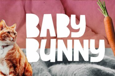 Bunny Before She Could "Talk" - Baby Bunny