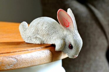 Cute Rabbit Bunny Video Compilation # 6 - Satisfying Video to make you Sleep