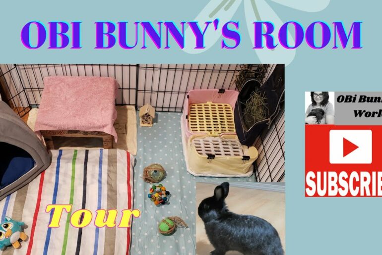 My Cute Bunny's Room Tour II Waking up OBi Bunny