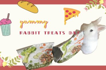 Rabbit eat treats in a day | cute bunny eating vlog