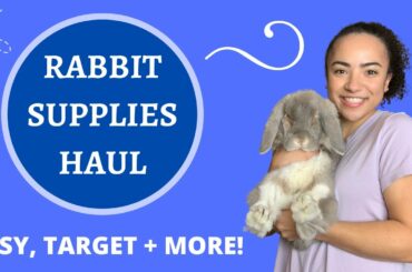 Rabbit Supplies Haul | CUTE Bunny Supplies