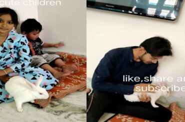 #animal#lovers#cute#rabbit#cute#childrens#love#like#share#subscribe