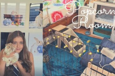 My Rabbit's Room Tour!