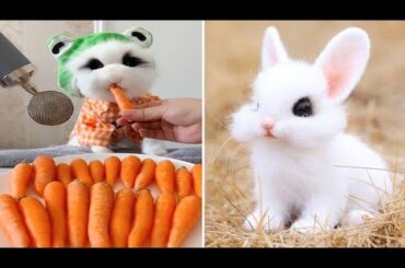 Funny and Cute Baby Bunny Rabbit Videos - Baby Animal Video Compilation #11 (2021)