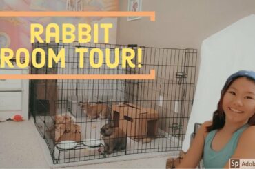 Rabbit Room Tour/ Rabbit Cage Tour! 2020