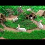 Wow !!Rabbit Playground ! So Cute Rabbit Having Fun  With A beautiful Playground .