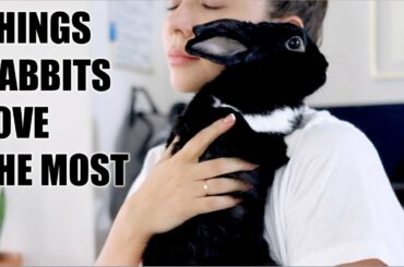 12 Things Rabbits Love the Most!