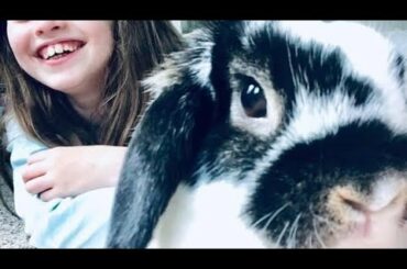 My cute bunny munching on apple