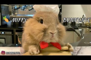 Chef Bunny Bakes Apple Pie: Cute Bunny Miffy (Bunny.nyc)