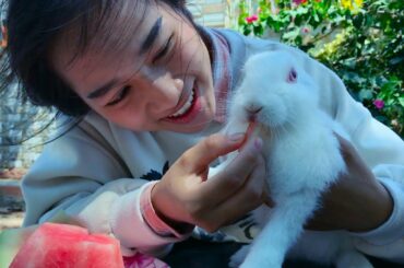Young girl, cute bunny, giant watermelon, girl feeding her bunny a very attractive watermelon