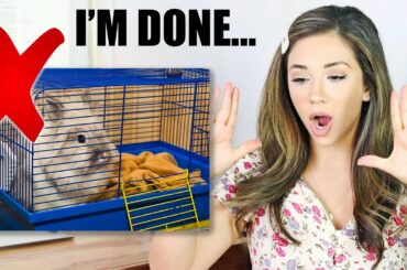 REACTING TO OUR SUBSCRIBERS RABBIT HABITATS | PT. 3