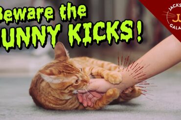 Bunny Kicks = Cute but Painful!