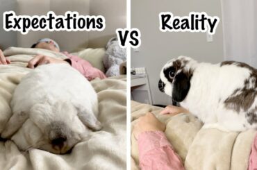 Sleeping With My Cute Bunnies