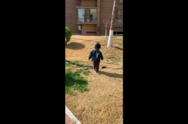 Funny and Cute Baby Rabbit Videos, Lovely Rabbit EP# 28