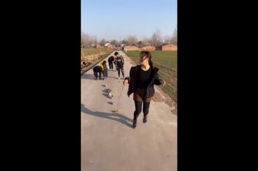 Funny and Cute Baby Rabbit Videos, Lovely Rabbit EP# 11