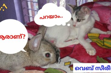 Rabbit Web Series Malayalam EP:1 Rabbit Video Muyal Valarthal Muyal Farm Kerala #webseriesrabbit |