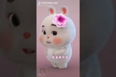 cute rabbit cute video