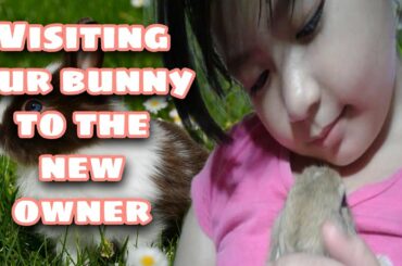 Cute Rabbit - Meet the New Owner Madelyne (The Cute Girl)-Rabbit Farming, Facts and Care