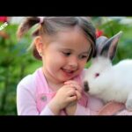 Funny and Cute Baby Bunny Rabbit Videos - Baby Animal Video Compilation (2021) for Animal lovers,