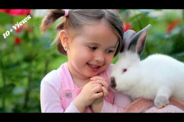 Funny and Cute Baby Bunny Rabbit Videos - Baby Animal Video Compilation (2021) for Animal lovers,