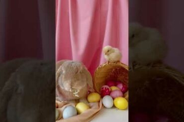 Cute Rabbit and Bird Celebrating Ester