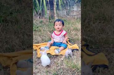 Baby ZD and Cute Bunny Kits..  #shorts