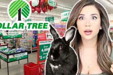 DOLLAR TREE RABBIT SHOPPING SPREE! $$$