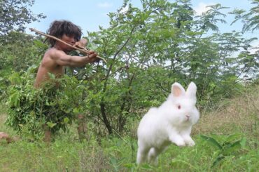 Ancient people find Forest Rabbit In Forest And cute rabbit sparrow