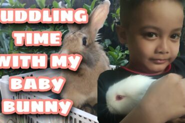 How to Approach Rabbit the Right Way- Cute Bunny Cuddling with Owner