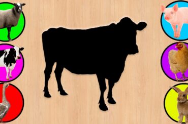 CUTE ANIMALS Pig Goose Chicken Rabbit Cow Sheep Bunny