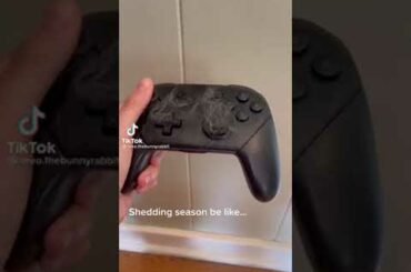 Cute Rabbit funny Videos #shorts #22