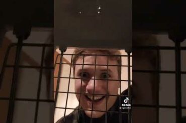 Cute Rabbit funny Videos #shorts #04