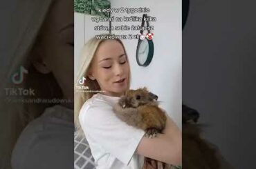 Cute Rabbit funny Videos #shorts #15