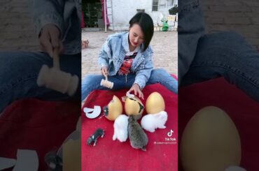 Cute Rabbit funny Videos #shorts #89