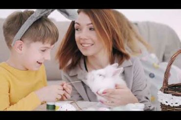 cute rabbit l baby rabbits l beautiful rabbits