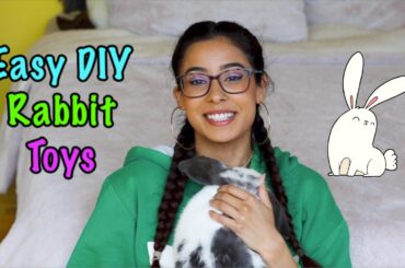 3 Easy DIY Rabbit Toys for Your Bunny