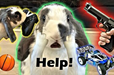 Rabbit Home Alone (full version) - Home Alone Parody