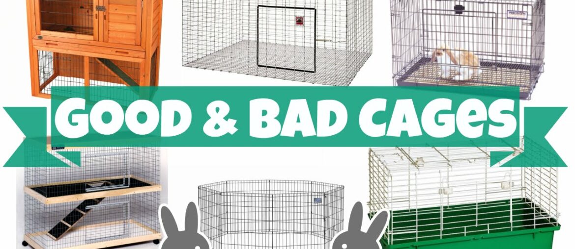 Good vs Bad Rabbit Cages Good vs Bad Rabbit Cages